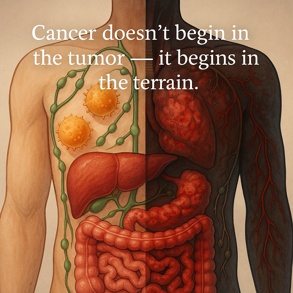 Understanding Cancer: The Role of Internal Terrain