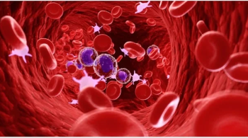 lymphocytes
