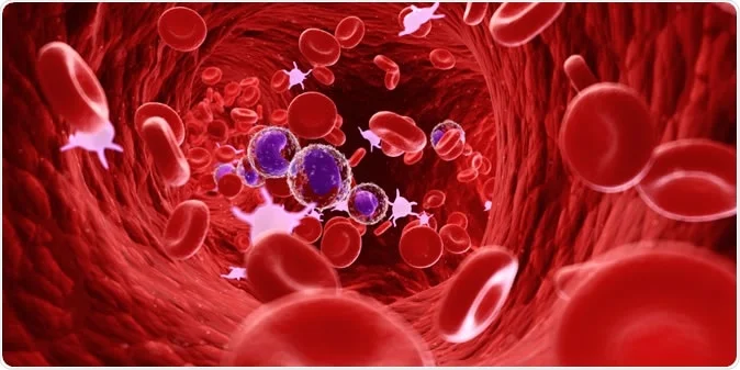 cancer vs lymphocytes
