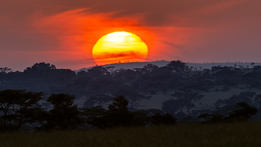 sunrise for vitamin D 